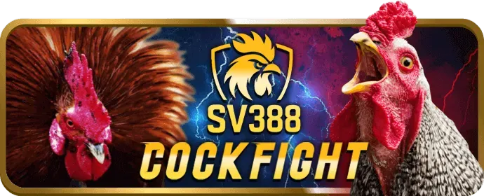Bắt đầu cá cược